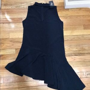 Navy Aline dress